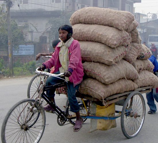 रिक्सामा प्याज ल्याउदै बालक