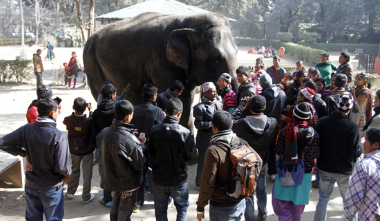 शैक्षिक भ्रमण