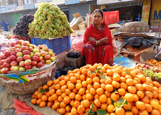 महिला फ़लफ़ुल ब्यापारी