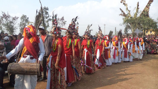 नृत्य देखाउदै सिसहनिया गाबिसका थारु कलाकारहरु