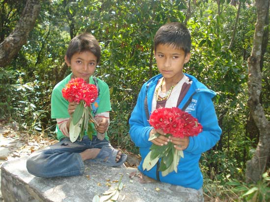 लालीगुंरास