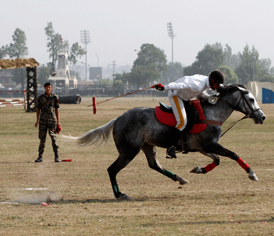 घोडे जात्रा