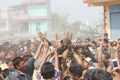 चितुवा यात्रा