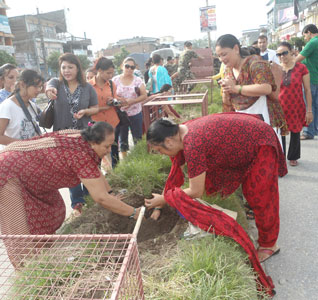 हरित अभियान