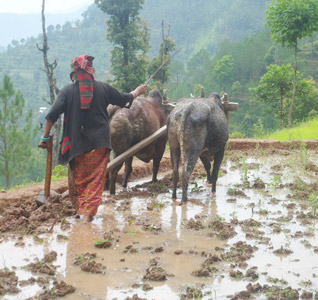 हामी पनि के कम ?