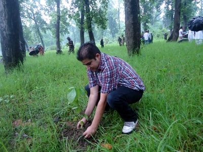 वृक्षारोपण