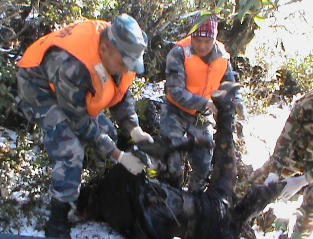 जहाज दुर्घटनाका तस्बिरहरु