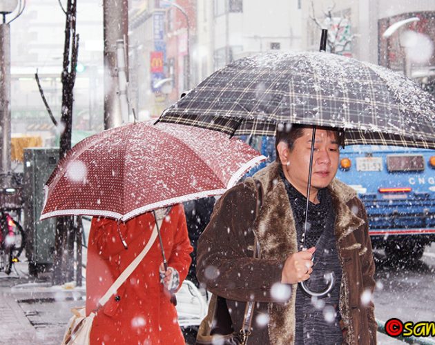 आज टोकियोमा भारी हिमपात, जनजीवन प्रभावित  (फाेटाेफिचरसहित)