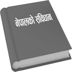 संविधान संशोधन विधेयक : सरकारको नीति ‘पर्ख र हेर’