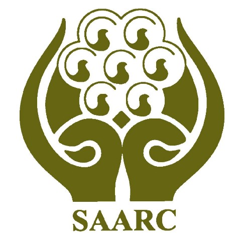 12032016090725saarc-1000x0