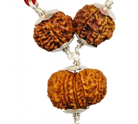 rudraksha-combination-for-industrialist-and-people-in-finance