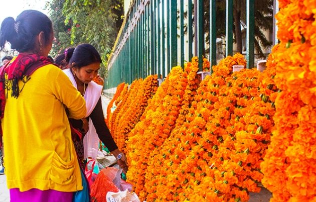 तिहारका लागि फूलको माला पनि भारतबाटै, साठी लाखको आयात गर्ने योजना