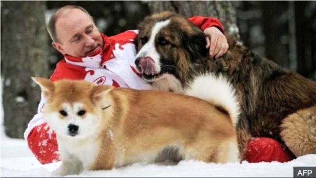 putin-with-dogs