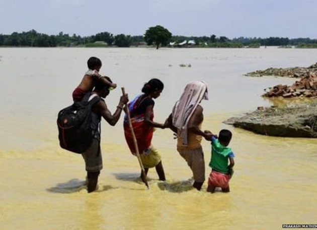 भारतः मुसाकै कारण बाढी आएको मन्त्रीको दाबी !