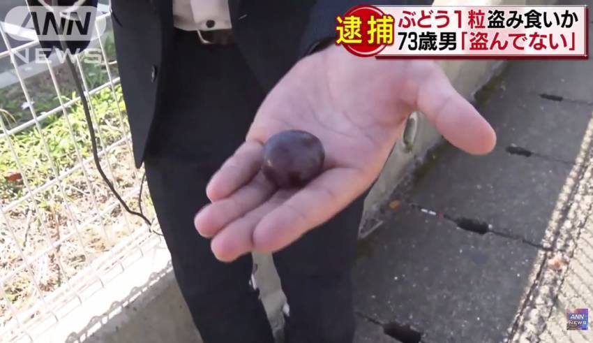 जापानमा एक वृद्धले एउटा दाना अगुंर चोरेर खाँदा प्रहरी फन्दामा