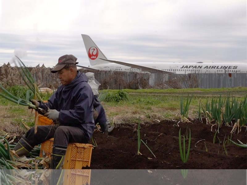 जापानको व्यस्त नारिता एयरपोर्टको बीचमा खेतीबारी गर्ने किसान – ताकाओ शितो