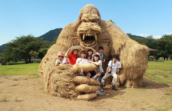 जापानको निइगाता शहरमा बन्ने परालका विशाल मूर्तिहरु