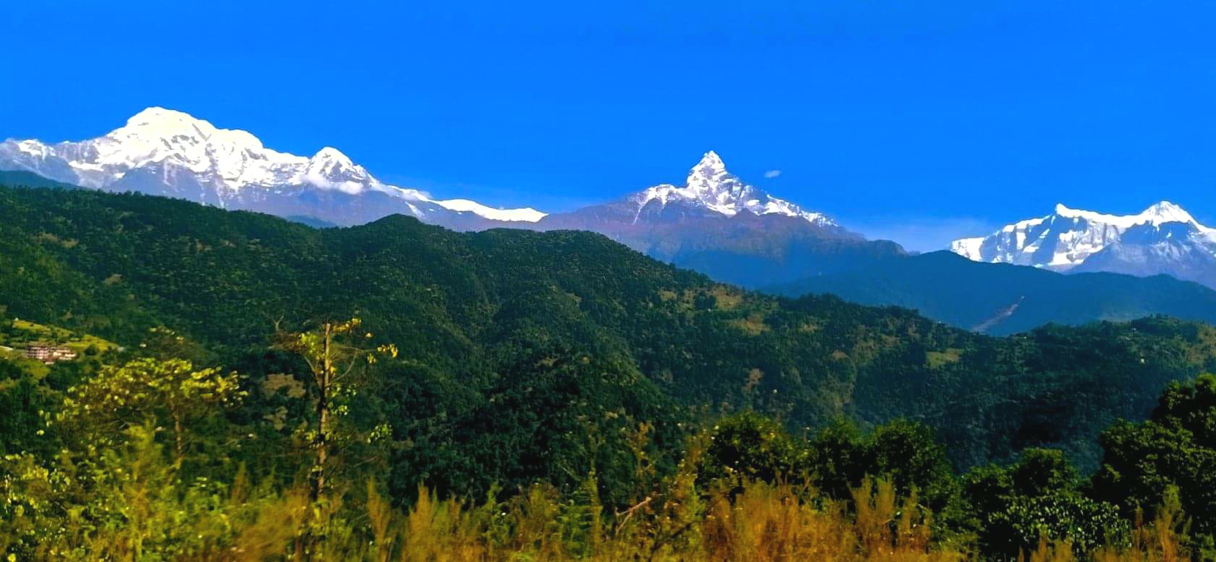 पिसीआर रिपोर्ट देखाएपछि मात्र मर्दी र माछापुच्छ्रे पदयात्रा