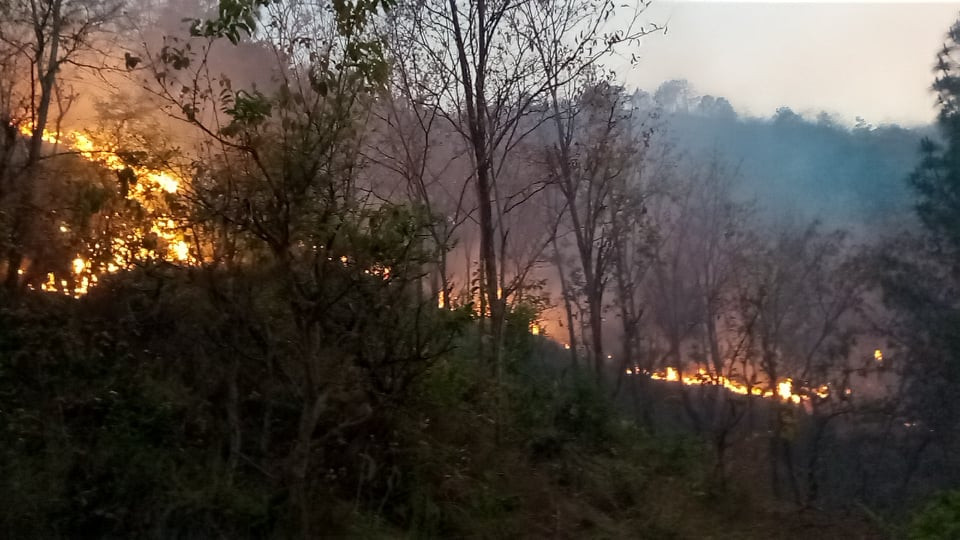 लुम्बिनीका १२ जिल्ला मध्ये ९ जिल्लामा डढेलो