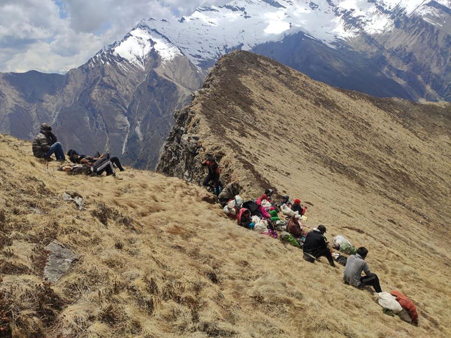 मुगुमा ‘लेक लागेर’ चार यार्सा संकलकको मृत्यु