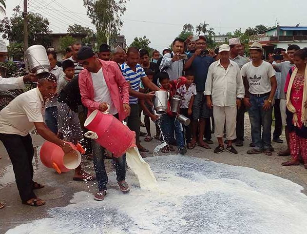 तत्काल दूधको मूल्य नबढाए आन्दोलन गर्ने किसानको चेतावनी