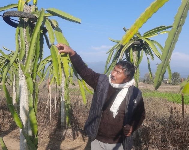 ४० लाख कमाइसकेका पूर्वमन्त्री तेस्रो चरणको ड्रागन फलको पखाइमा