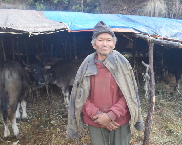 घुम्ती गोठ धानिरहेका ७१ वर्षे तुलाचन