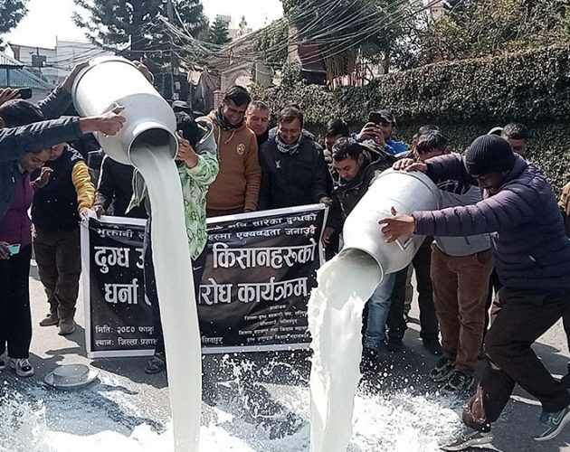 सरकारसँगको ५ बुँदे सहमतिपछि दूध उत्पादक किसानको आन्दोलन फिर्ता