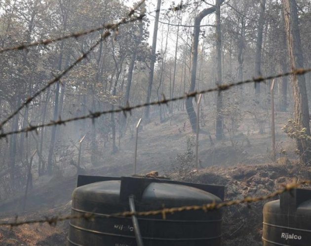 ललितपुरको आगो निभाउने क्रममा घाइते भएका अर्का युवाको मृत्यु